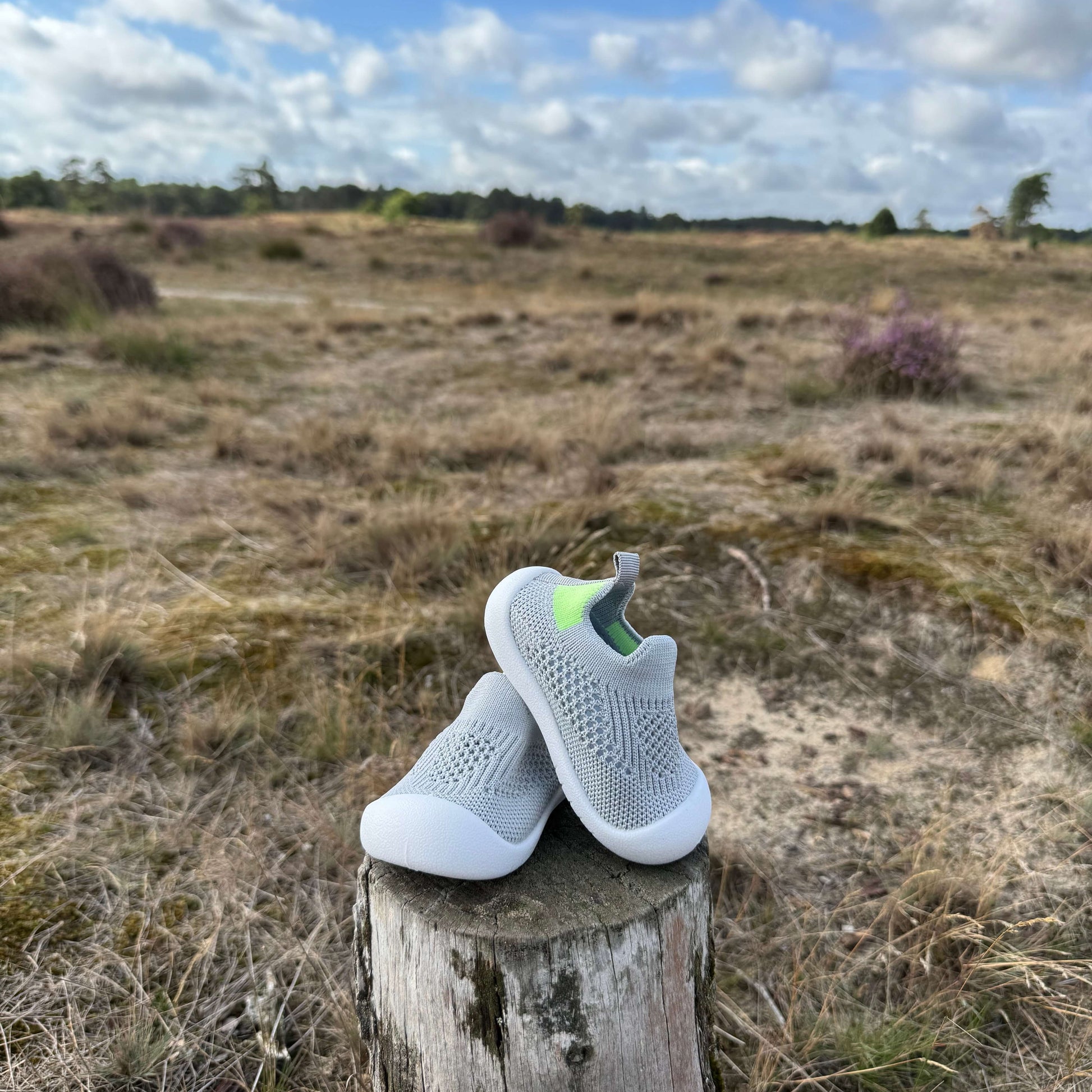 Twee grijze kindersokschoenen met antislip zool op een houten boomstronk in natuurgebied