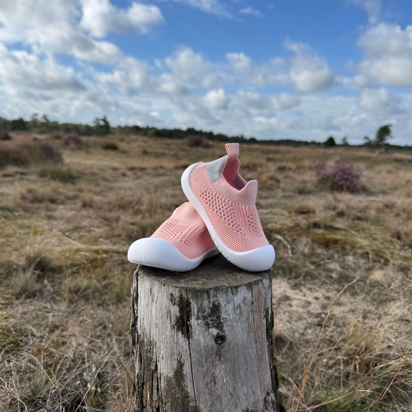 Twee roze kindersokschoenen met antislip zool op een houten boomstronk in natuurgebied